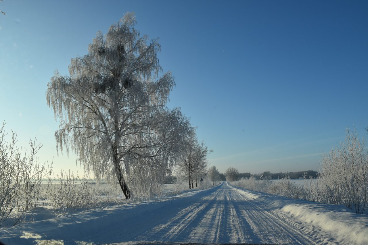 Akcja zima 2023 2024 Gmina Stary Brus Słońce Ryby i Grzyby