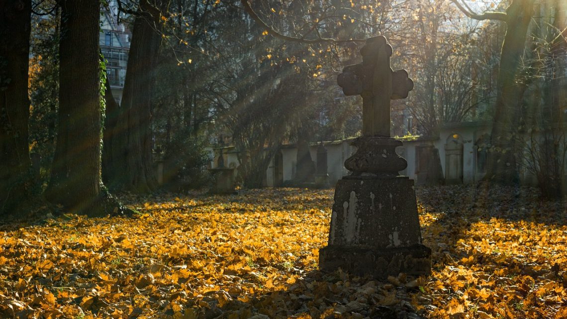 Program „Groby i cmentarze wojenne w kraju”